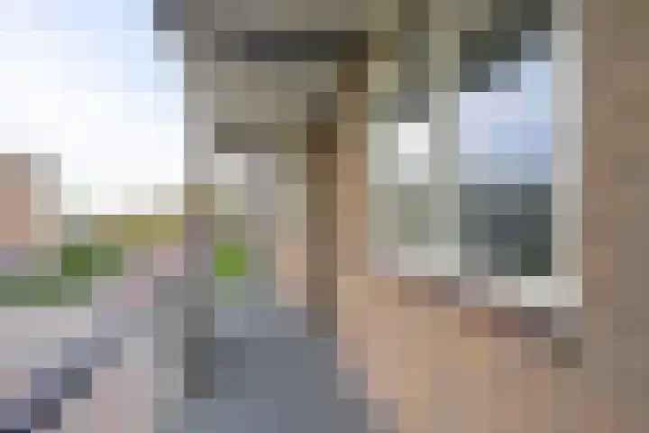 Asselijnstraat 80 Alkmaar thumbnail 5