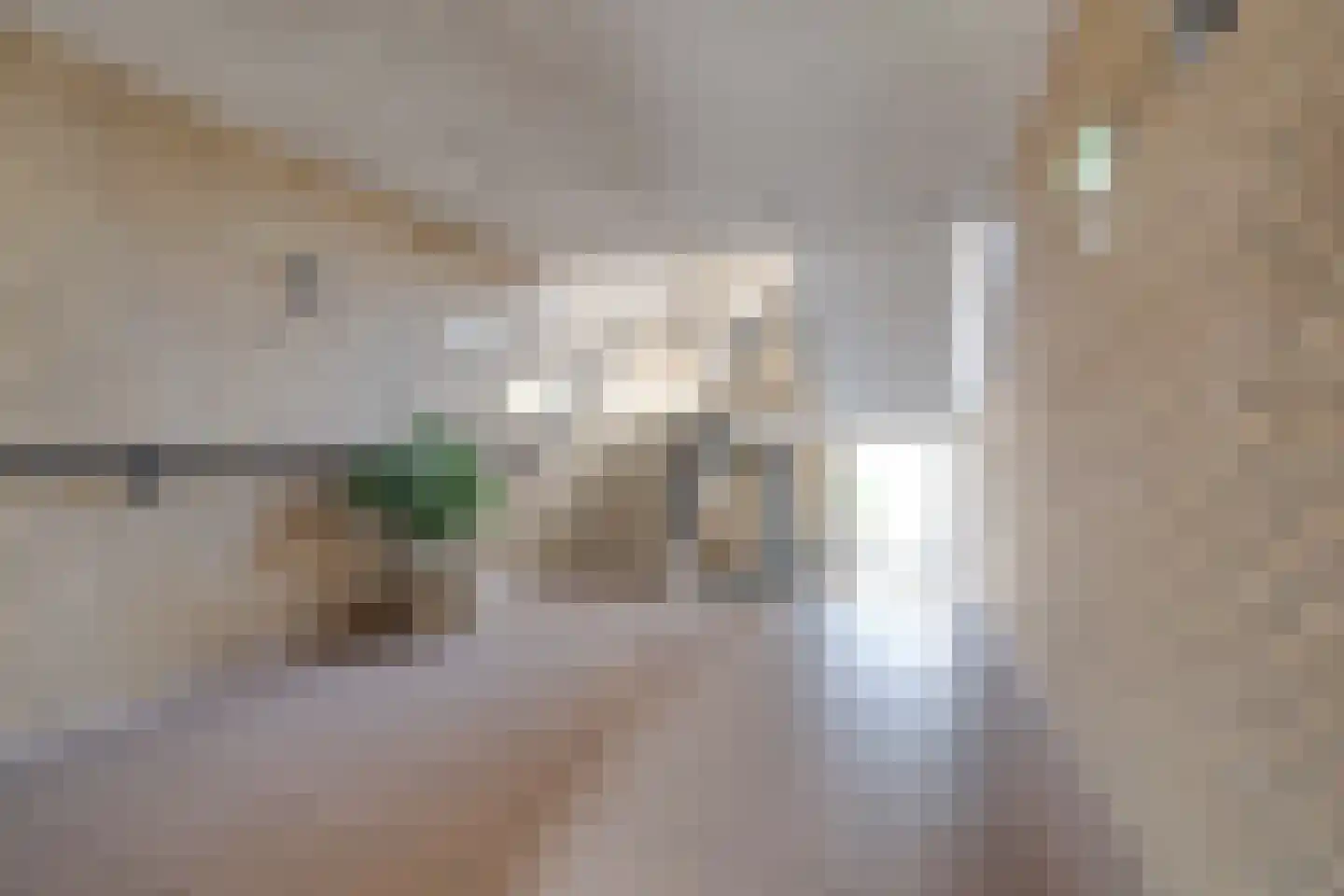 Asselsestraat 107 E Apeldoorn thumbnail 24