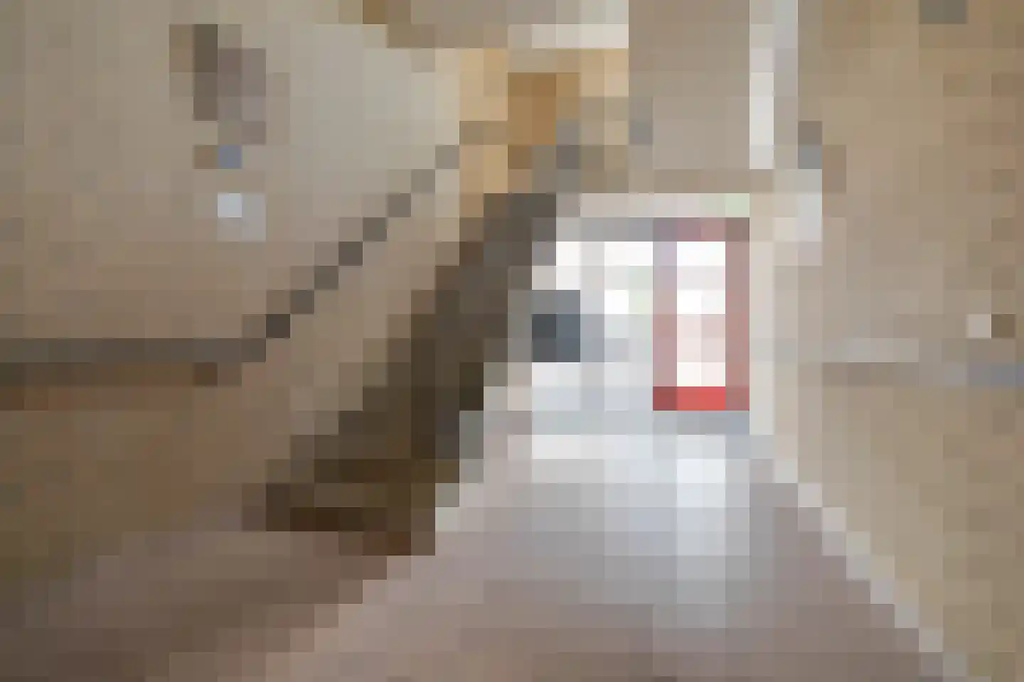 Asselsestraat 107 E Apeldoorn thumbnail 27
