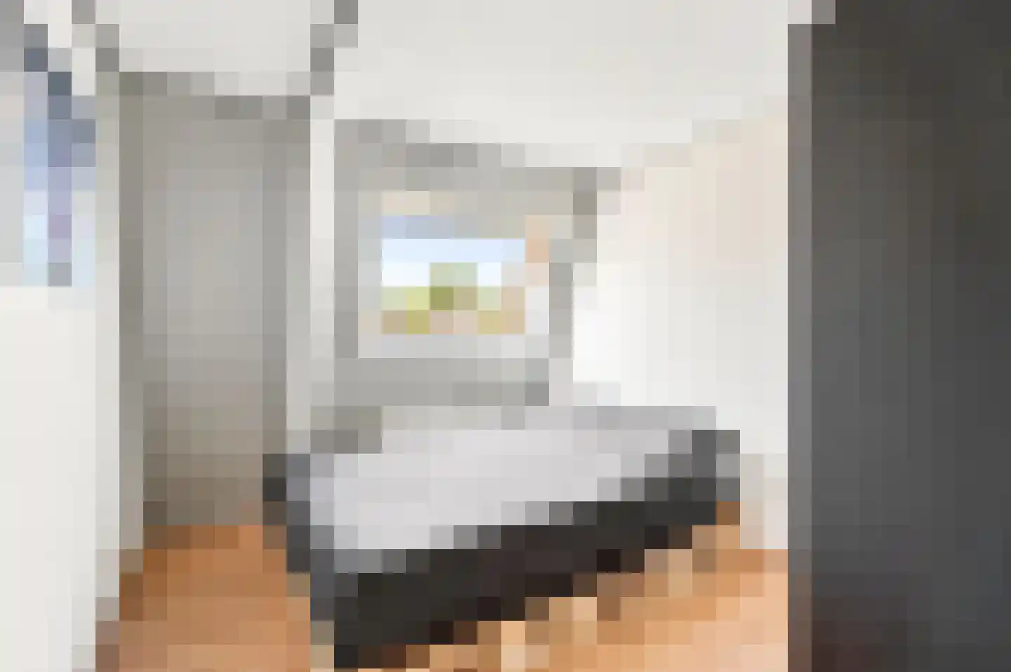 Asselsestraat 160 Apeldoorn thumbnail 18
