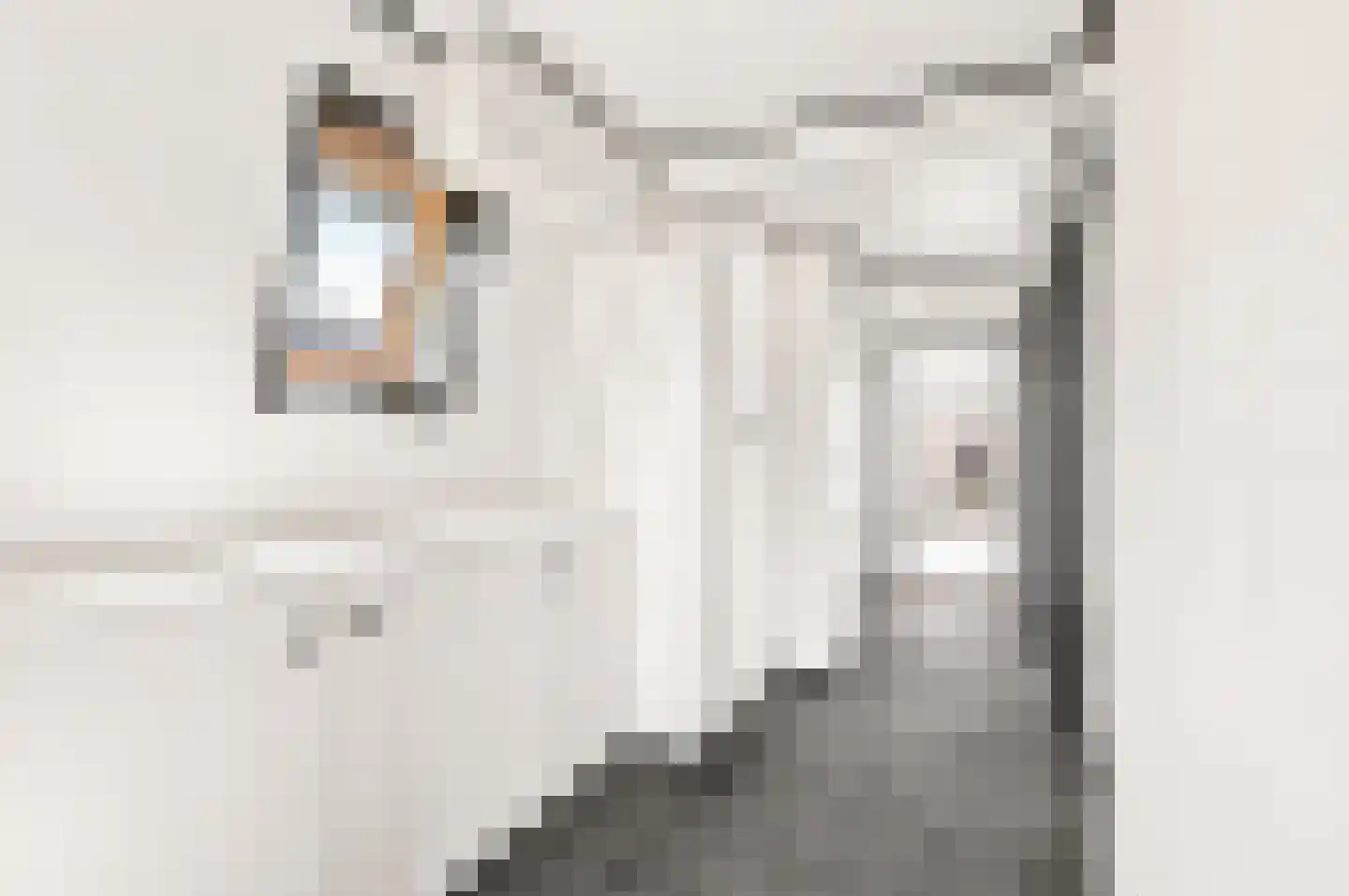 Asselsestraat 160 Apeldoorn thumbnail 22