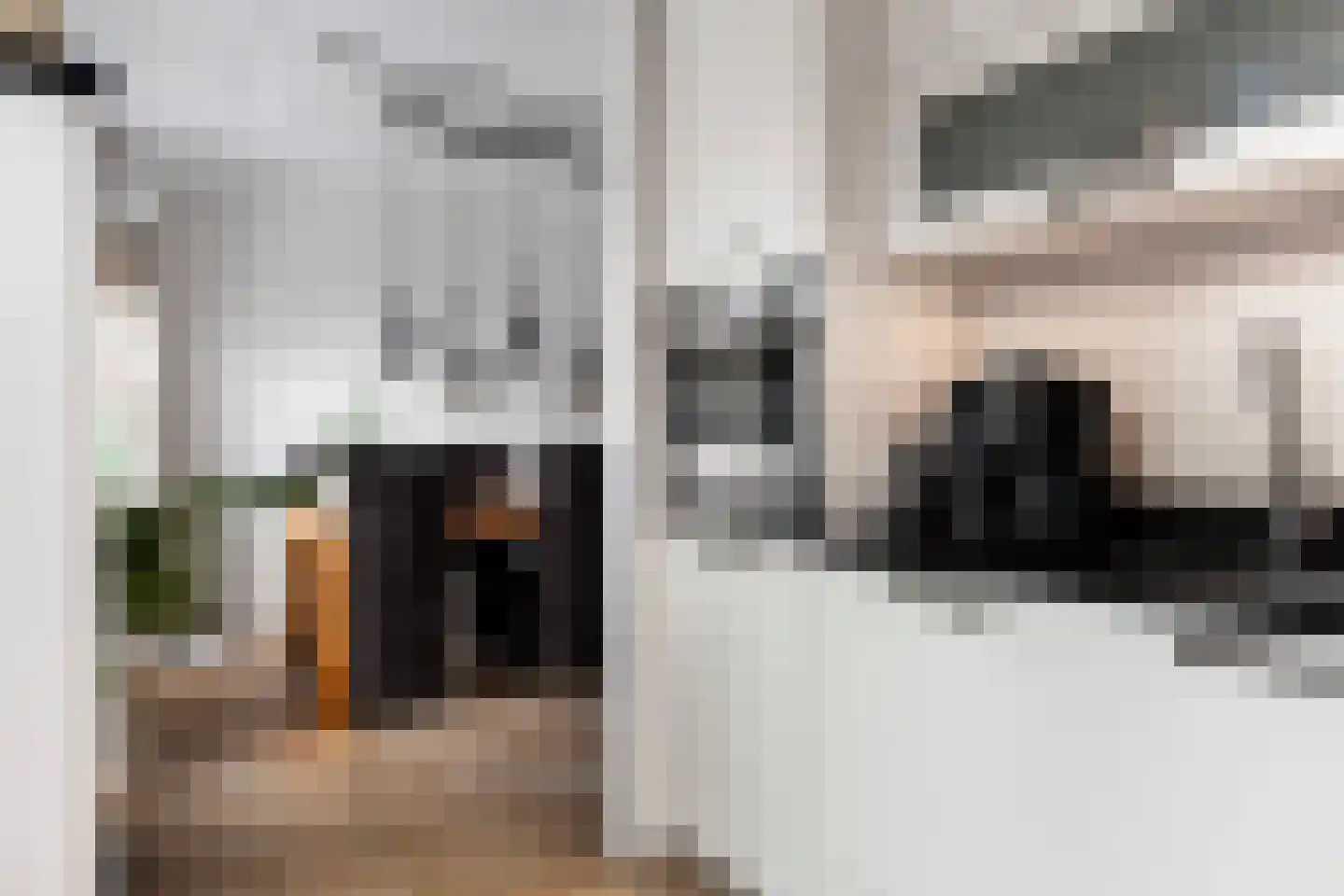 Asselsestraat 191 Apeldoorn thumbnail 12