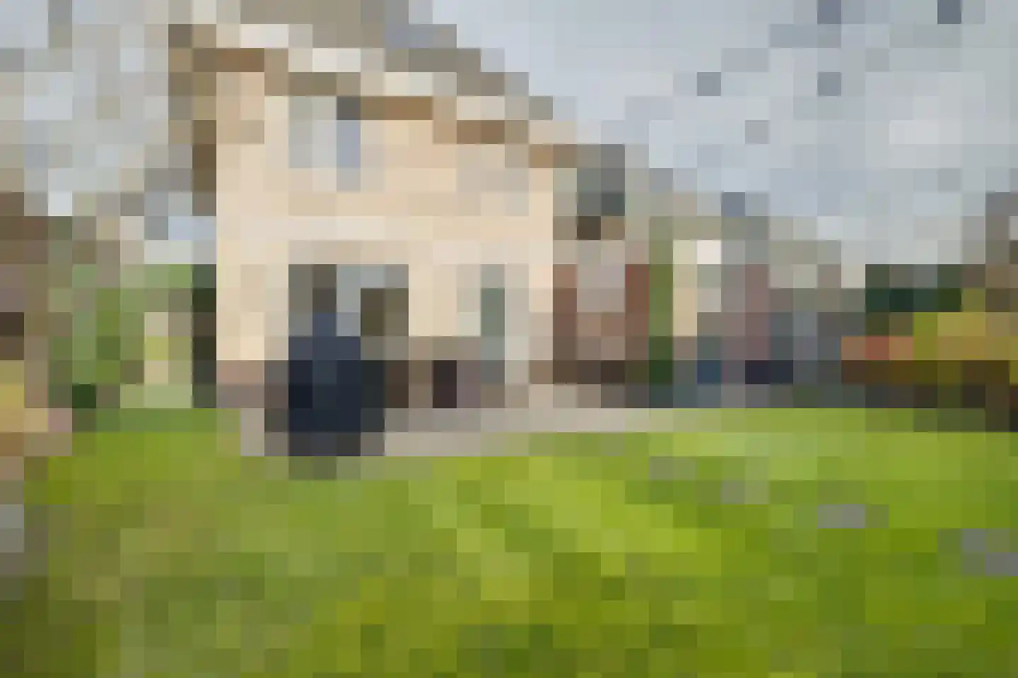 Asselsestraat 191 Apeldoorn thumbnail 38