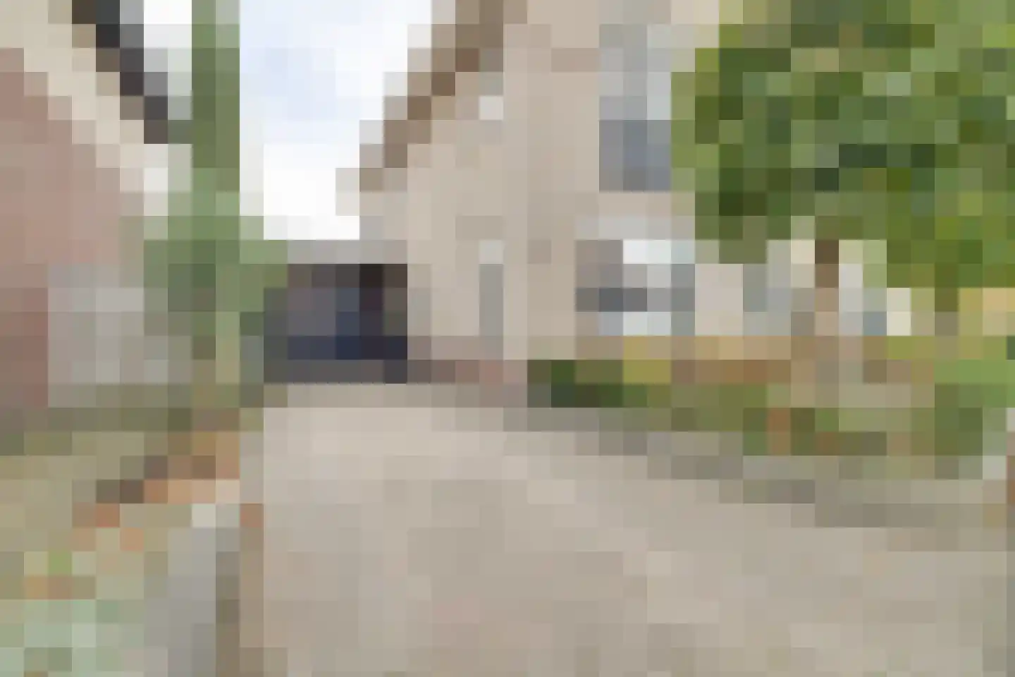 Asselsestraat 191 Apeldoorn thumbnail 40