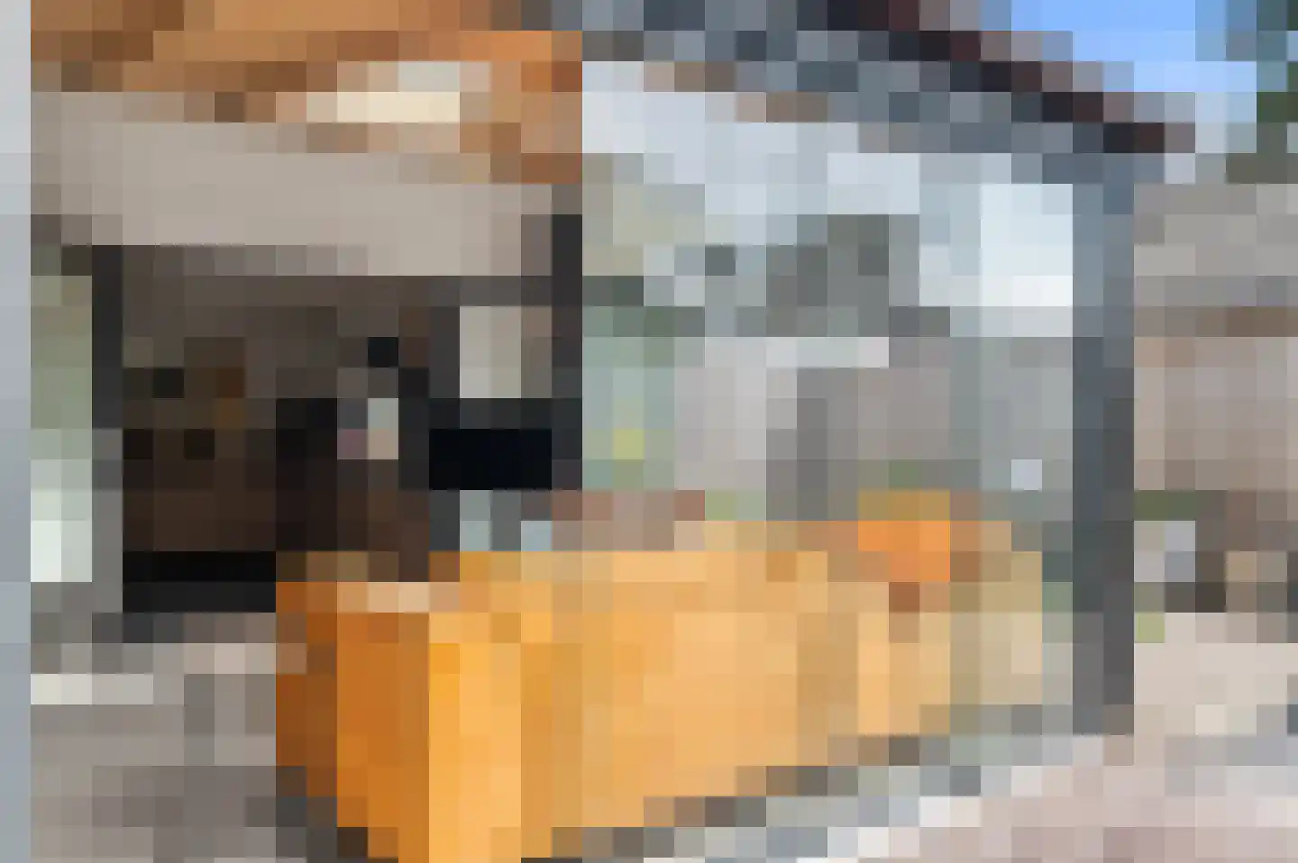 Asselsestraat 207 Apeldoorn thumbnail 16