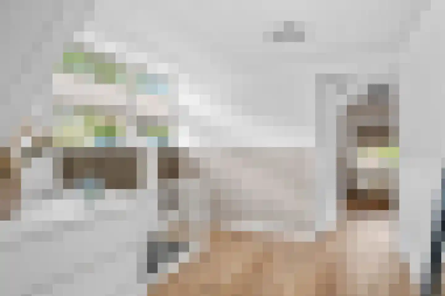Asselsestraat 207 Apeldoorn thumbnail 32