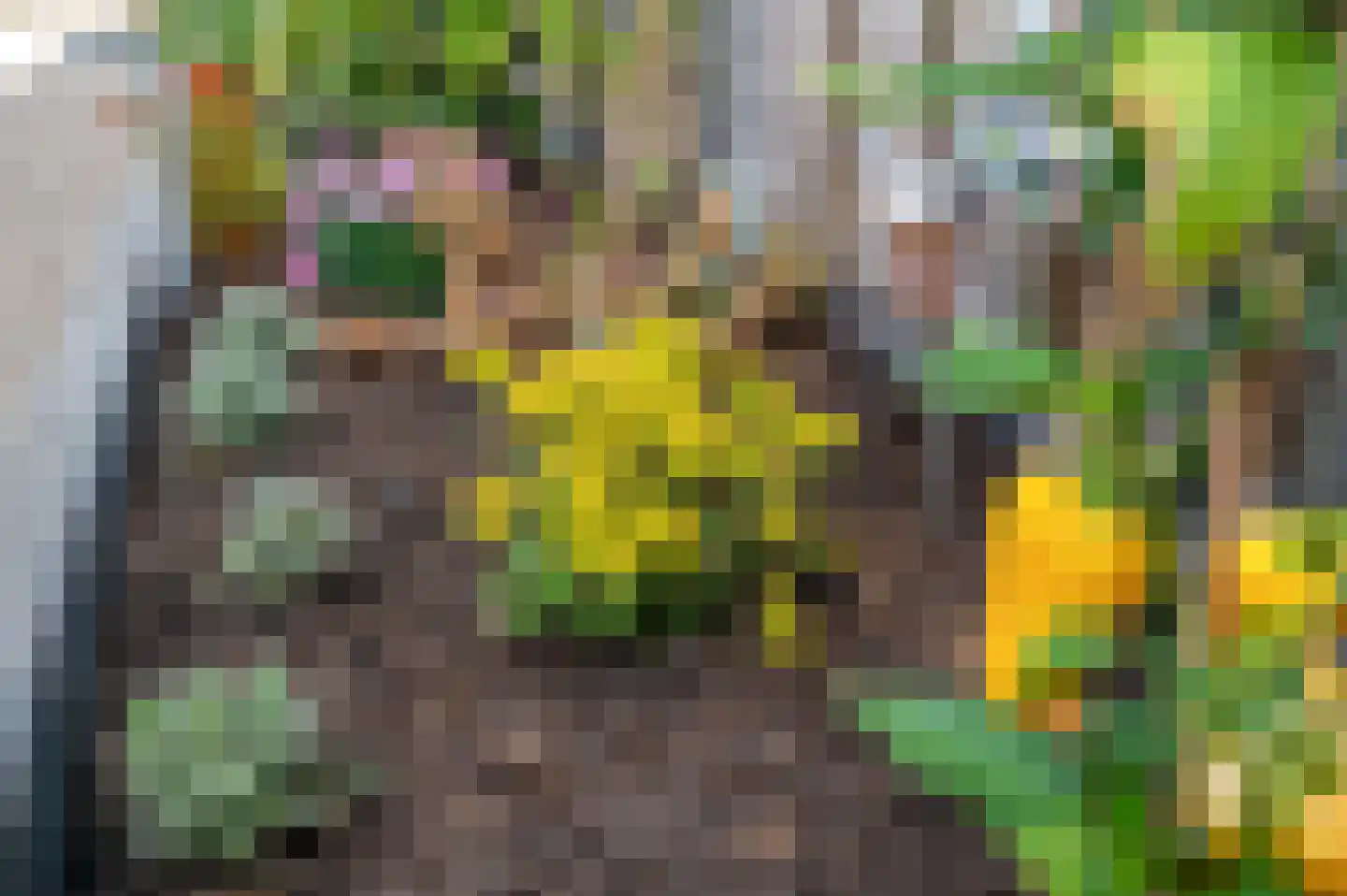 Asselsestraat 207 Apeldoorn thumbnail 38