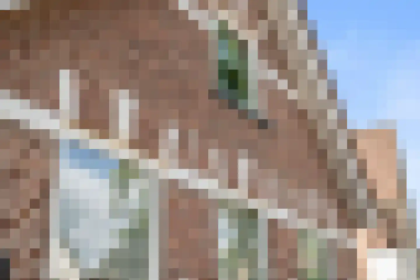 Asselsestraat 207 Apeldoorn thumbnail 43