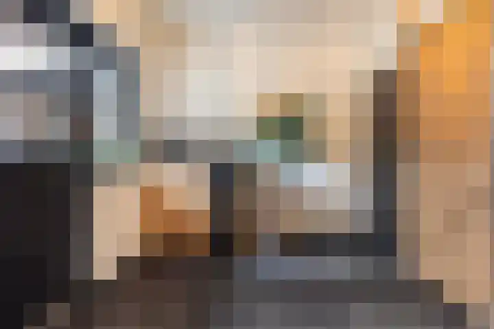 Asselsestraat 207 Apeldoorn thumbnail 6
