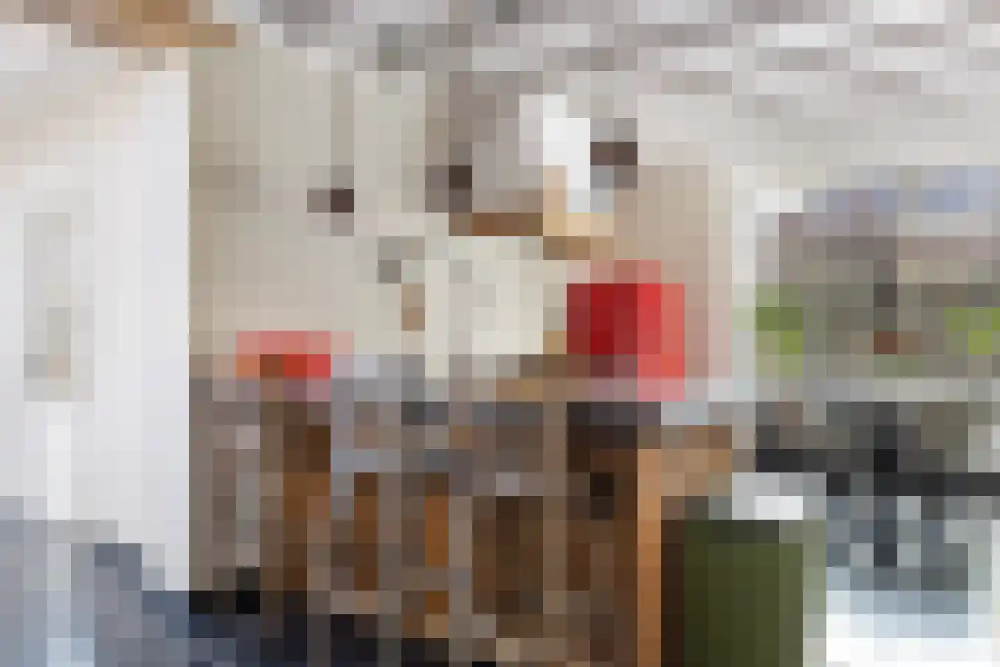 Asselsestraat 222 Apeldoorn thumbnail 11