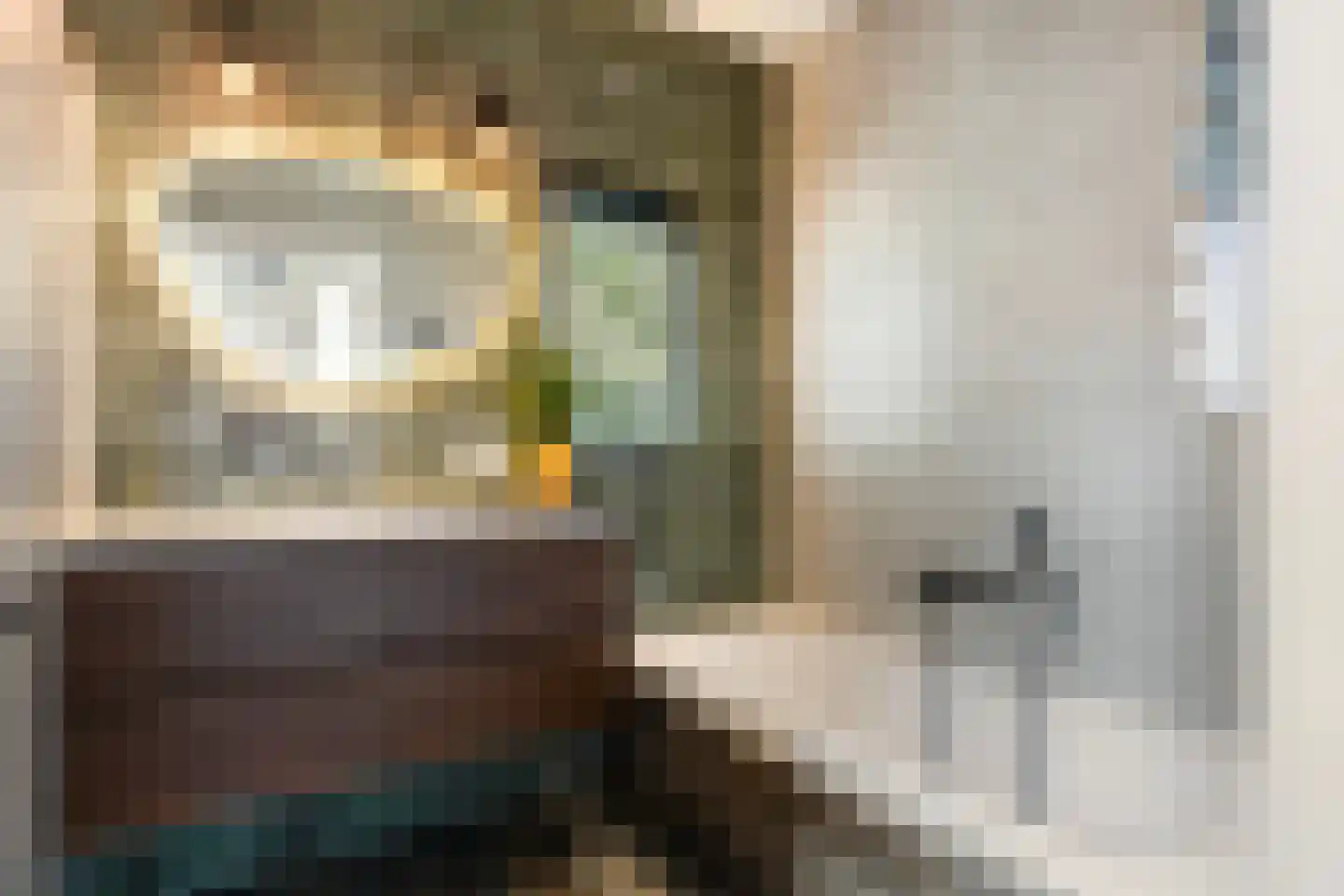 Asselsestraat 222 Apeldoorn thumbnail 24