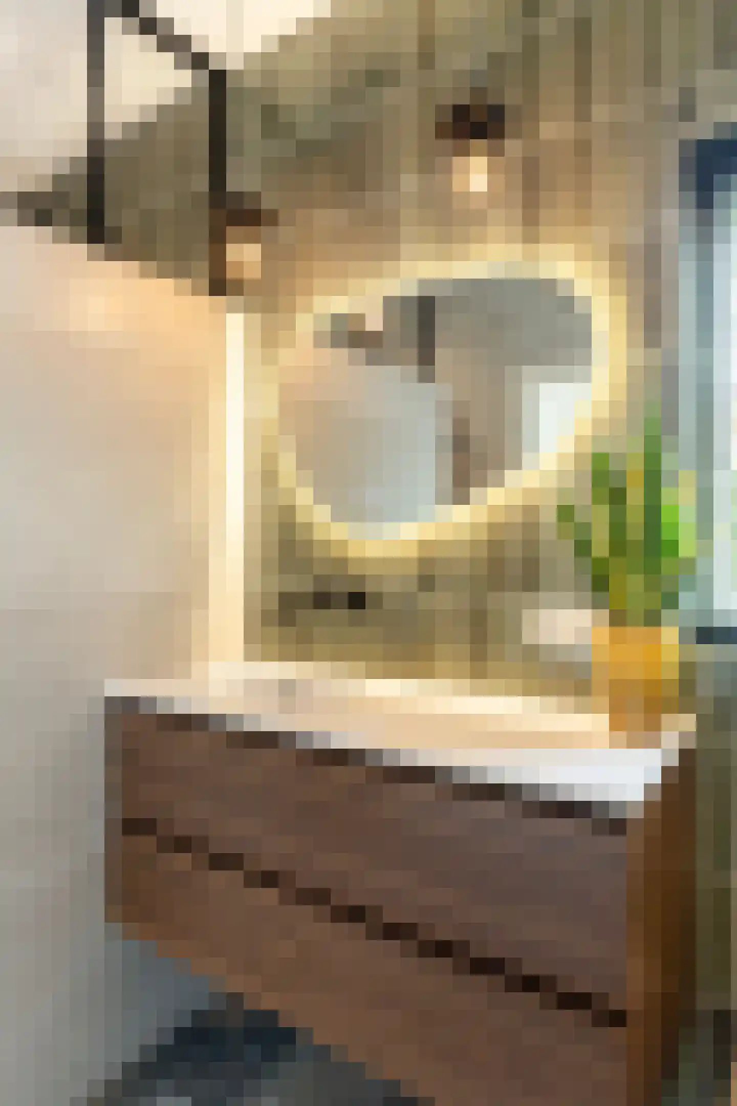 Asselsestraat 222 Apeldoorn thumbnail 25