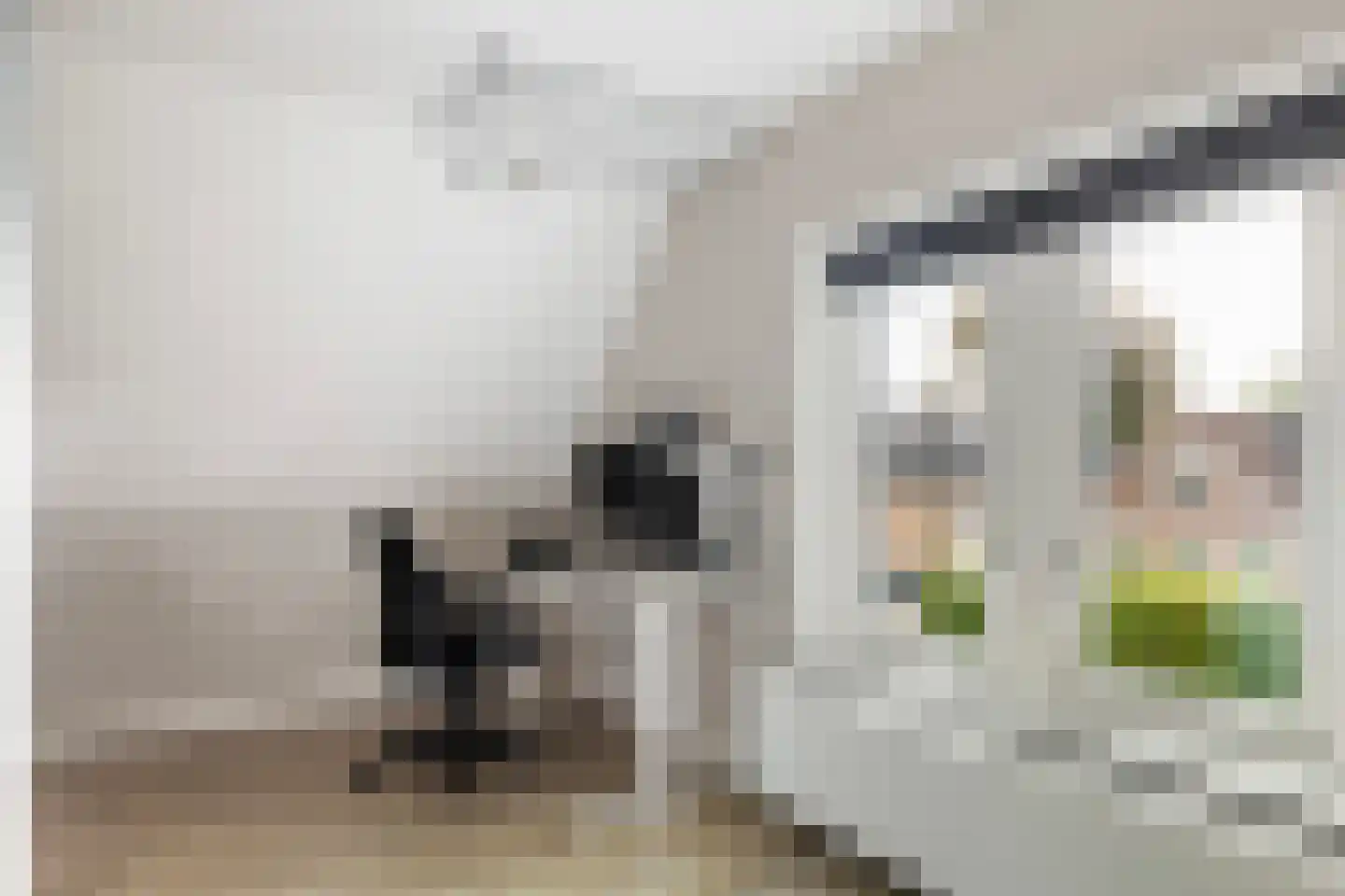 Asselsestraat 222 Apeldoorn thumbnail 31