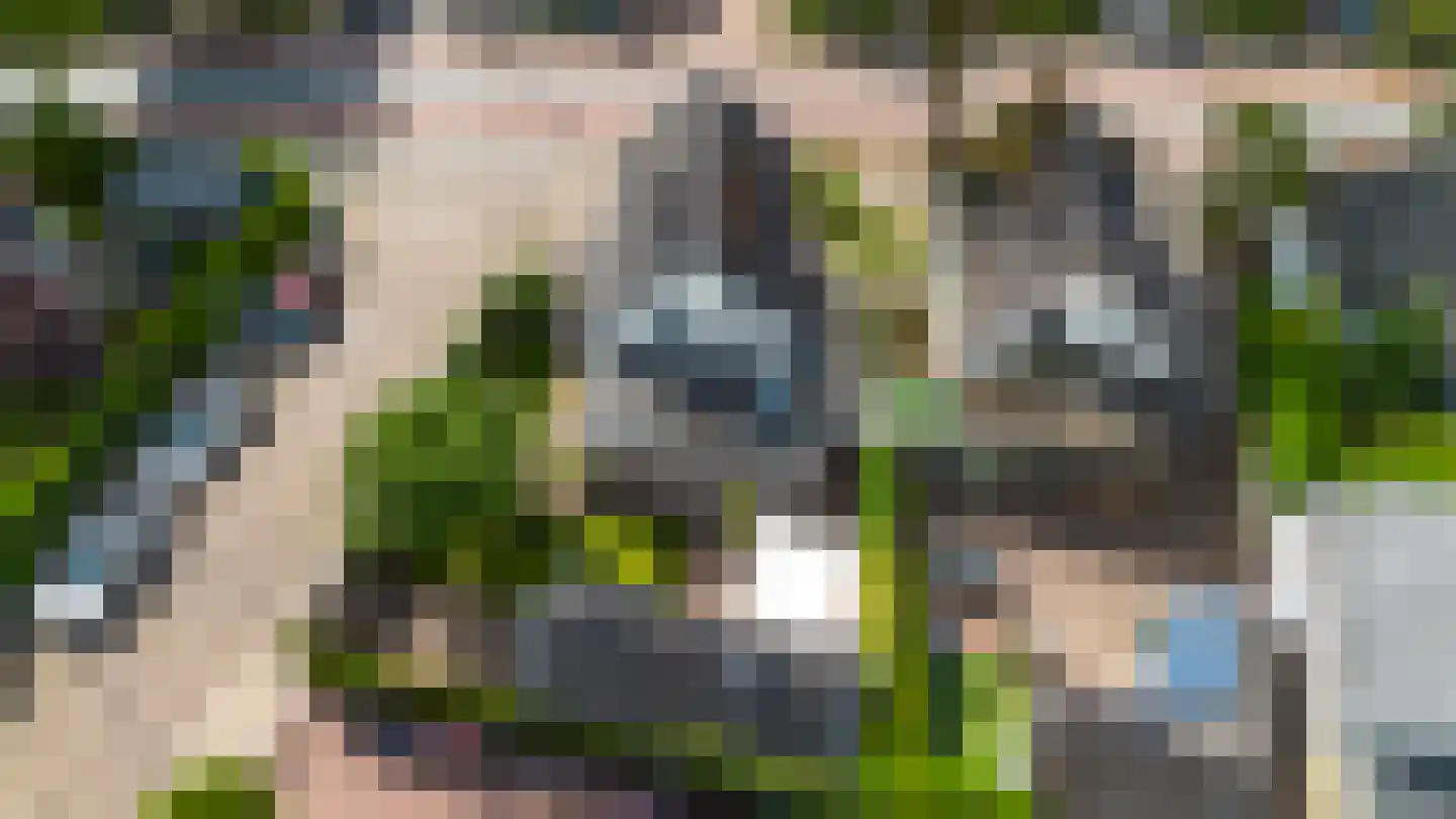 Asselsestraat 222 Apeldoorn thumbnail 42