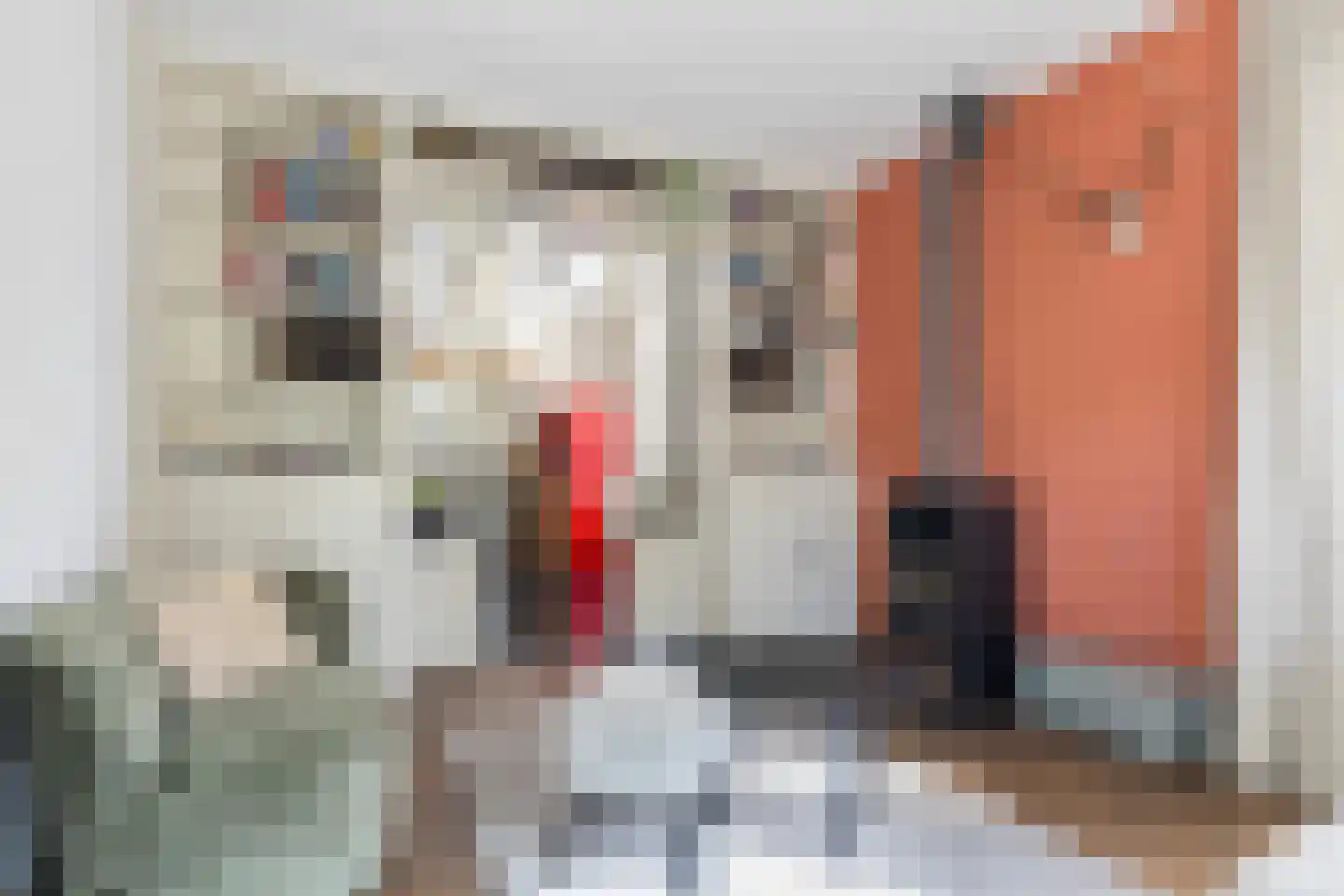 Asselsestraat 222 Apeldoorn thumbnail 6