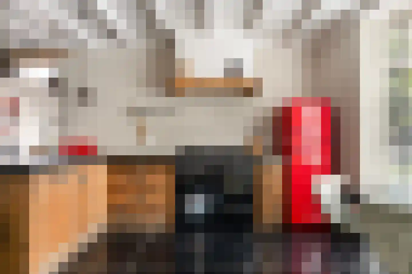 Asselsestraat 222 Apeldoorn thumbnail 9
