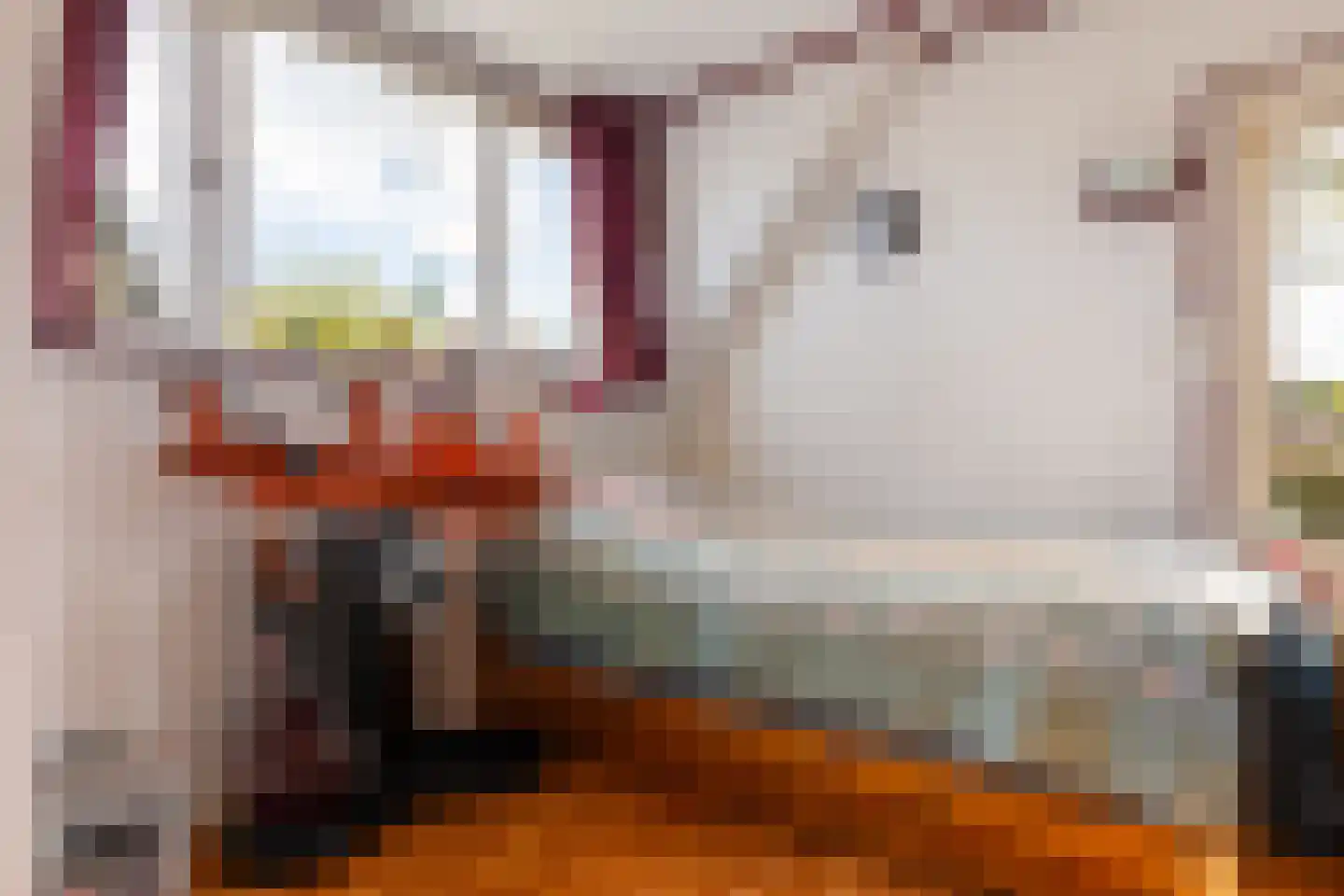 Asselsestraat 224 Apeldoorn thumbnail 19