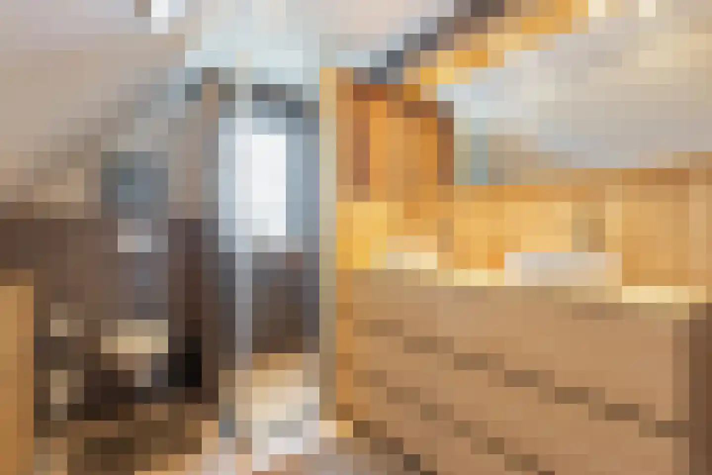 Asselsestraat 224 Apeldoorn thumbnail 22