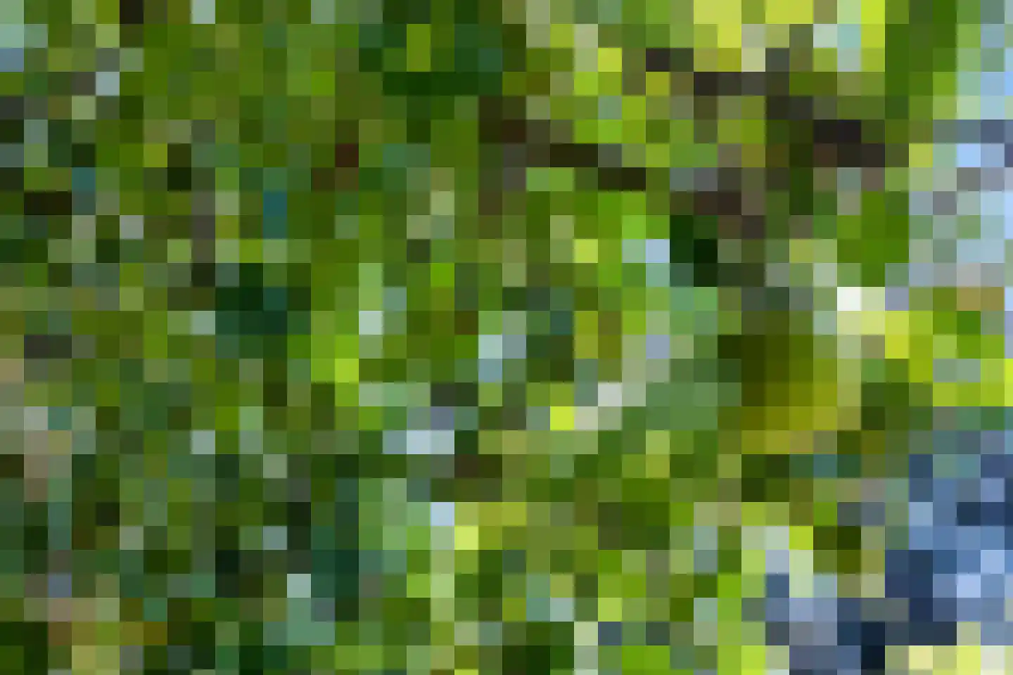 Asselsestraat 253 Apeldoorn thumbnail 22