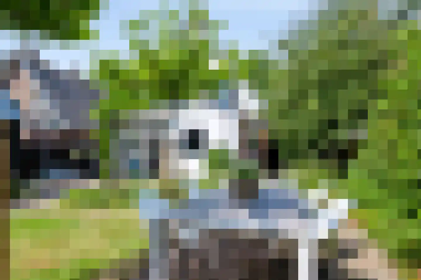 Asselsestraat 253 Apeldoorn thumbnail 23