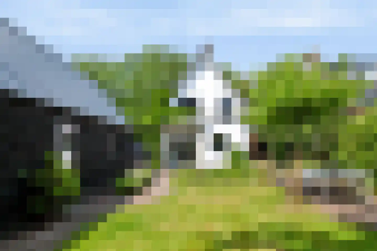 Asselsestraat 253 Apeldoorn thumbnail 24