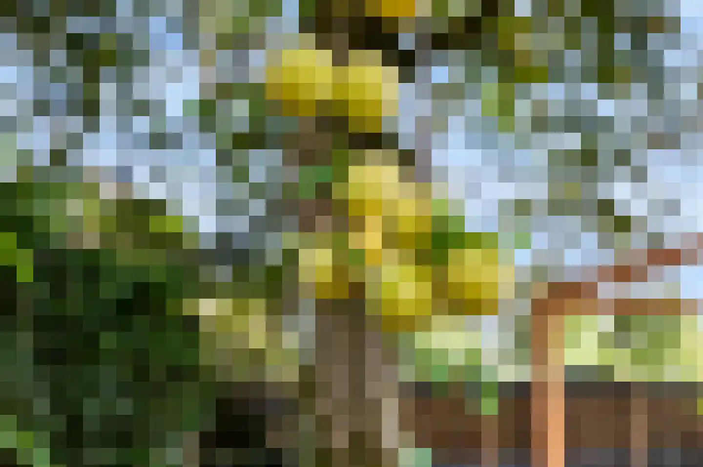 Asselsestraat 253 Apeldoorn thumbnail 25