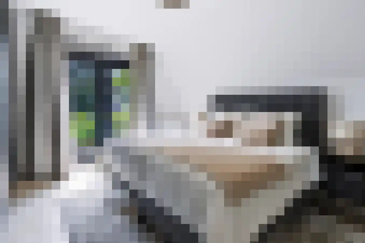 Asselsestraat 253 Apeldoorn thumbnail 28