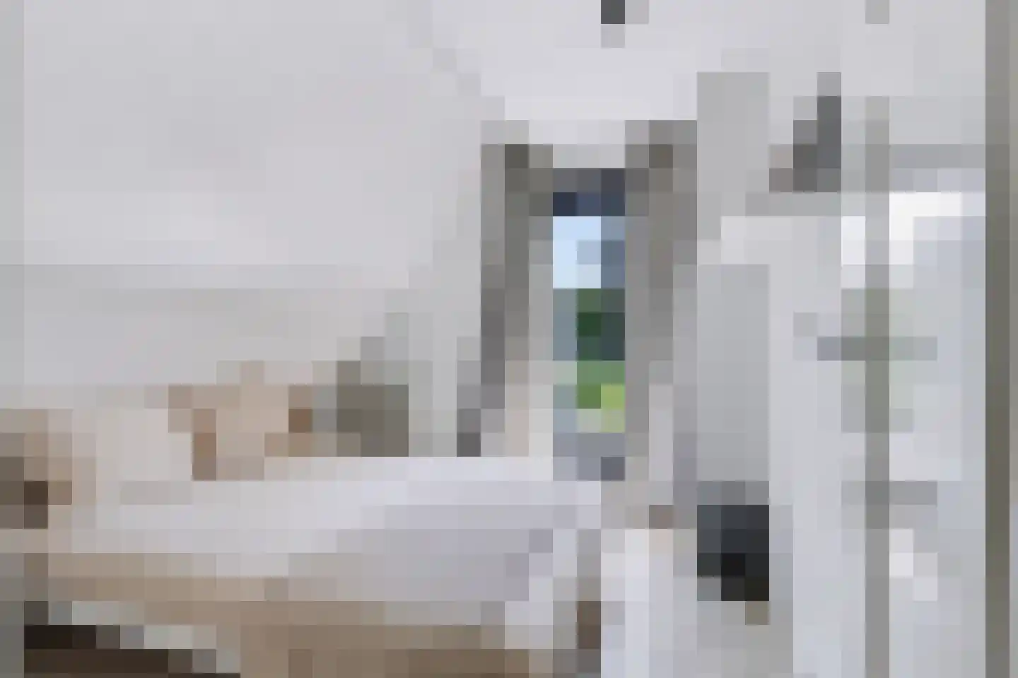 Asselsestraat 253 Apeldoorn thumbnail 32