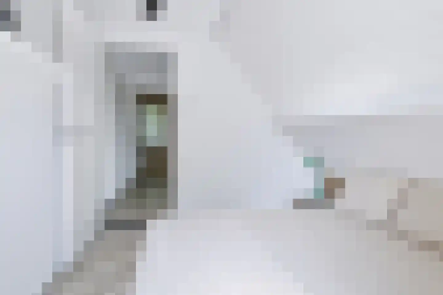 Asselsestraat 253 Apeldoorn thumbnail 33