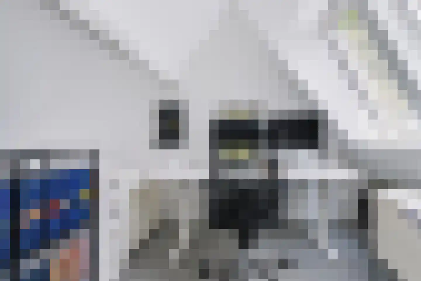 Asselsestraat 253 Apeldoorn thumbnail 39