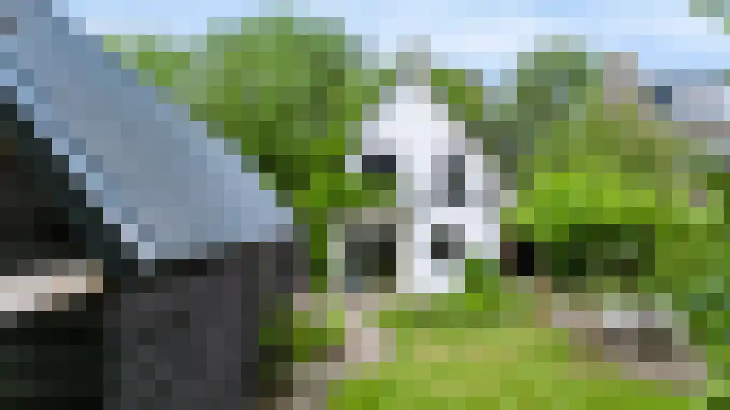 Asselsestraat 253 Apeldoorn thumbnail 44