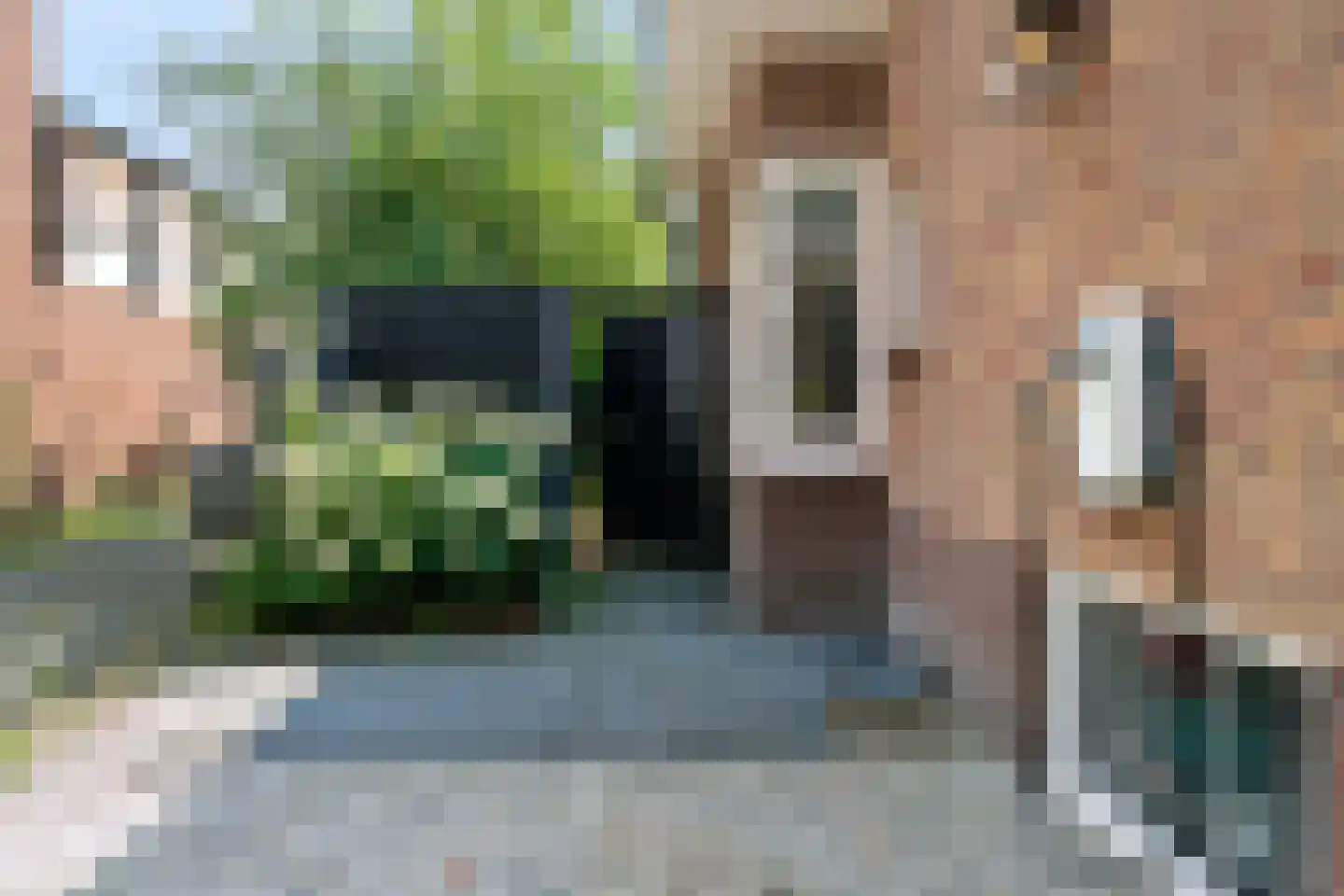 Asselsestraat 253 Apeldoorn thumbnail 48