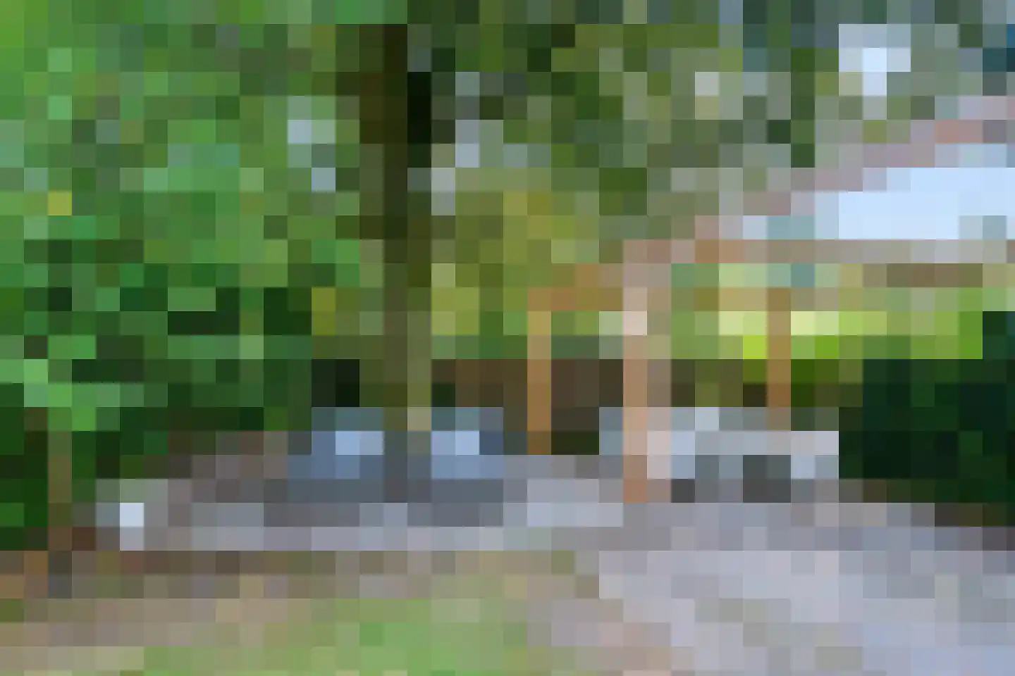 Asselsestraat 253 Apeldoorn thumbnail 50