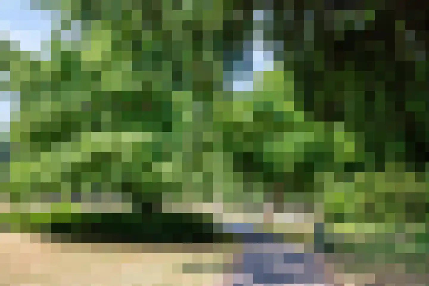 Asselsestraat 253 Apeldoorn thumbnail 57