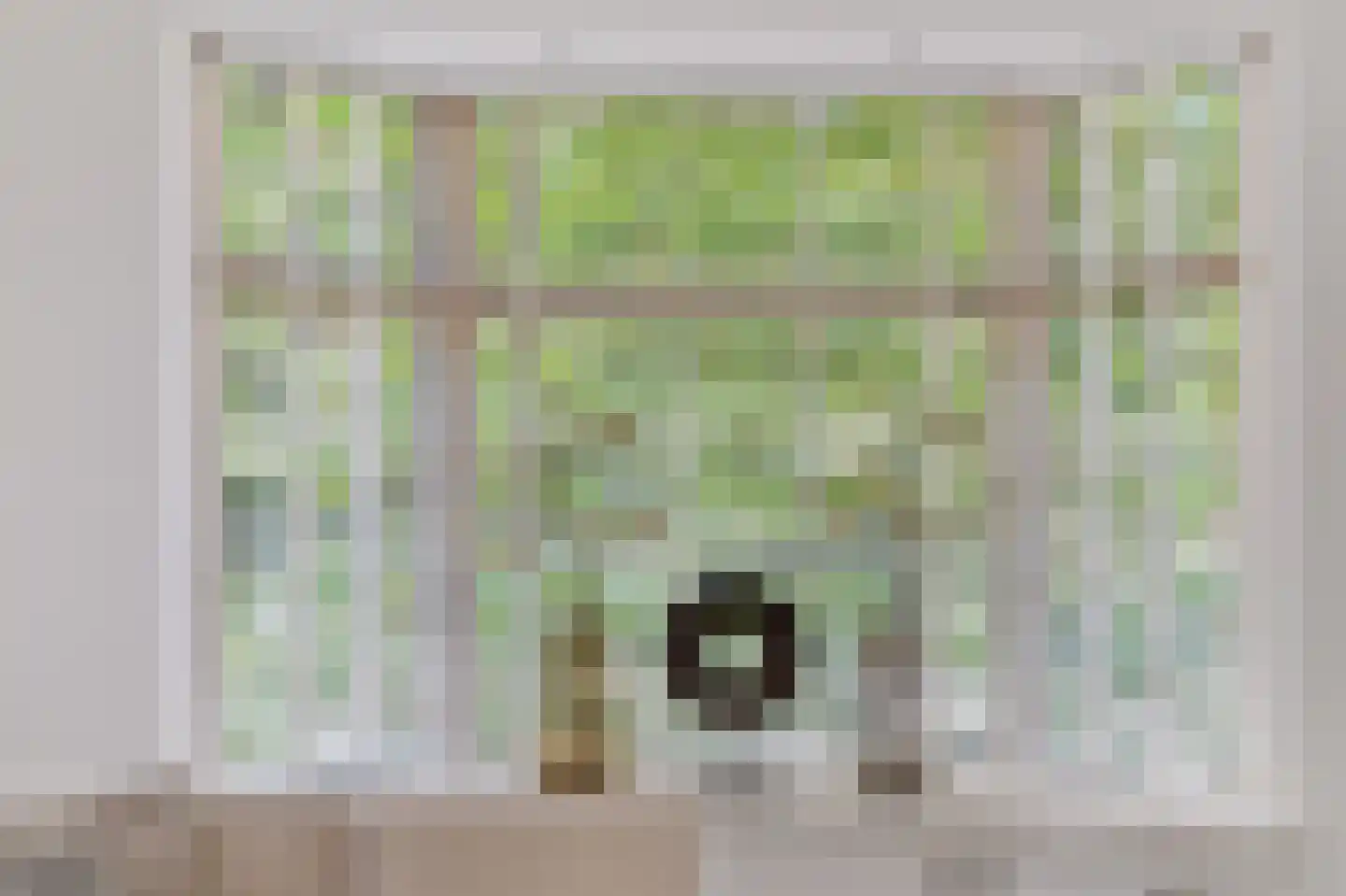 Asselsestraat 253 Apeldoorn thumbnail 9