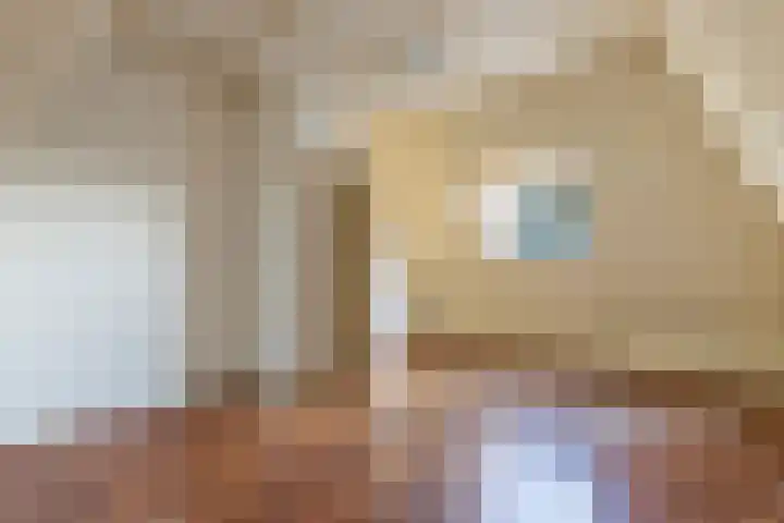 Asselsestraat 270 Apeldoorn thumbnail 34