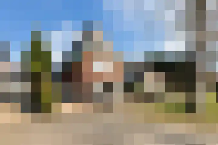 Asselsestraat 270 Apeldoorn thumbnail 5