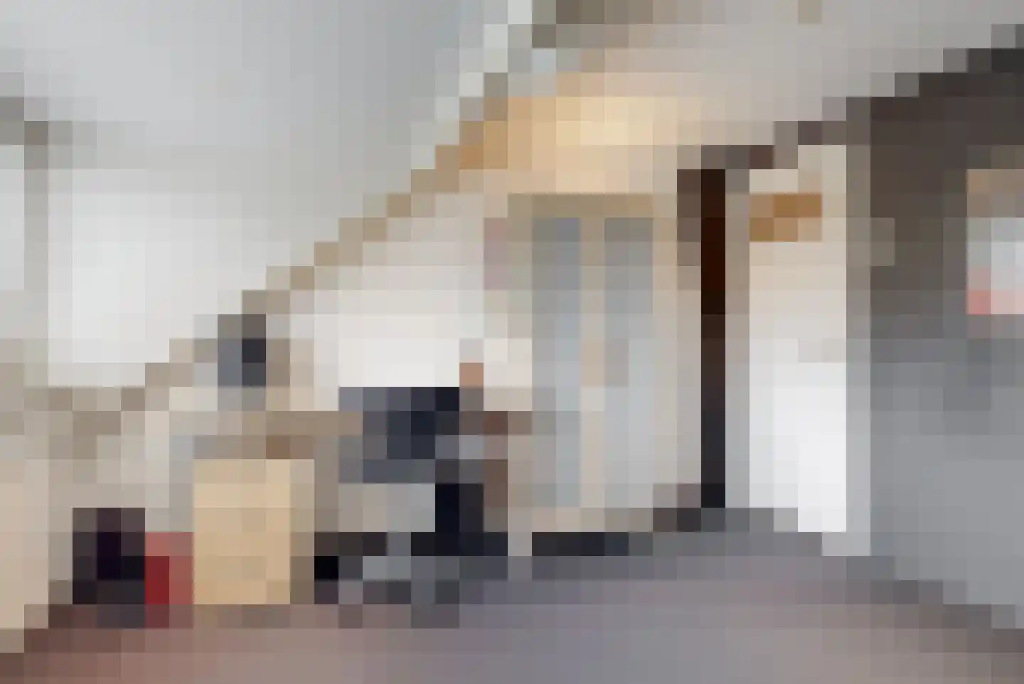 Asselsestraat 279 Apeldoorn thumbnail 32
