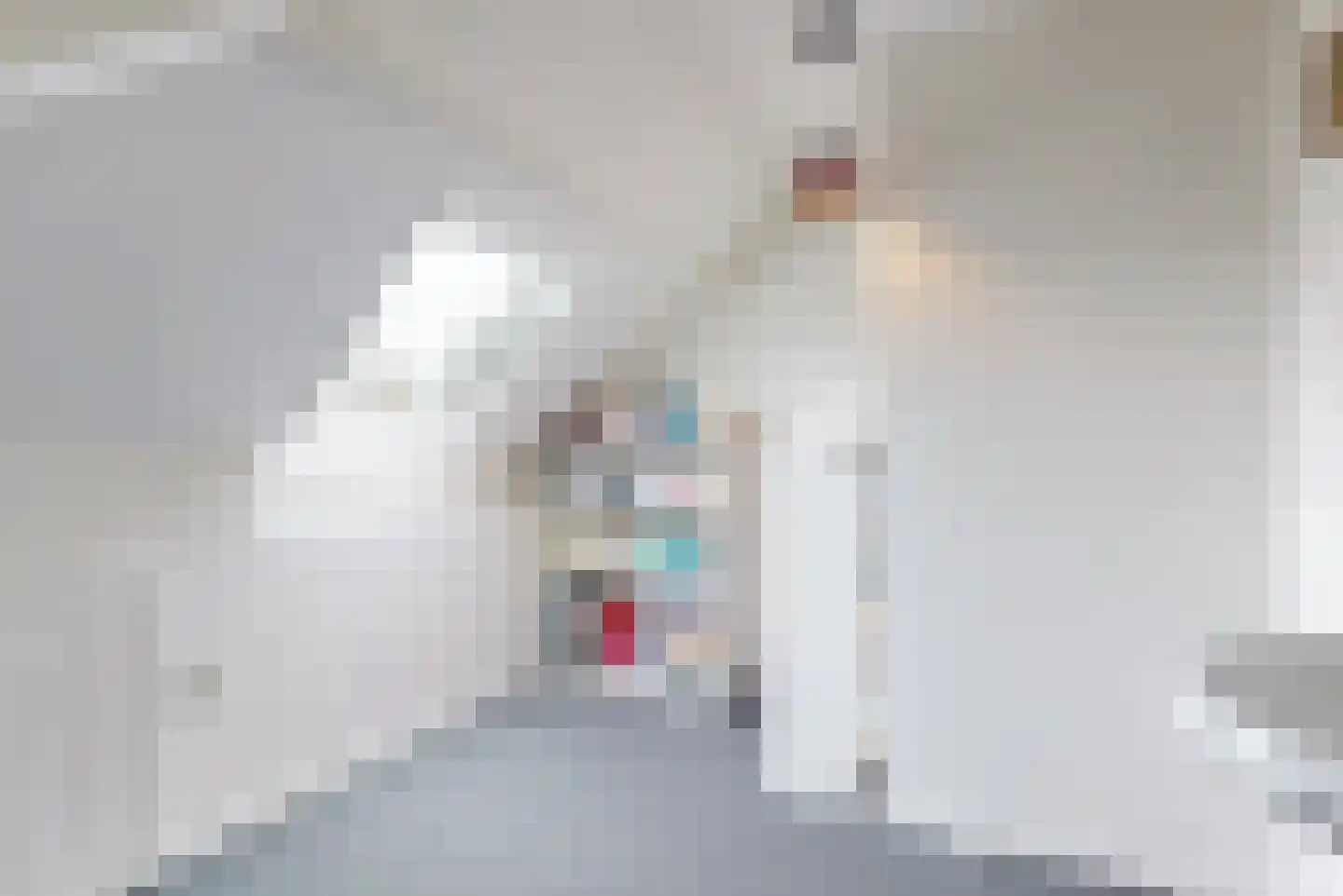 Asselsestraat 279 Apeldoorn thumbnail 34