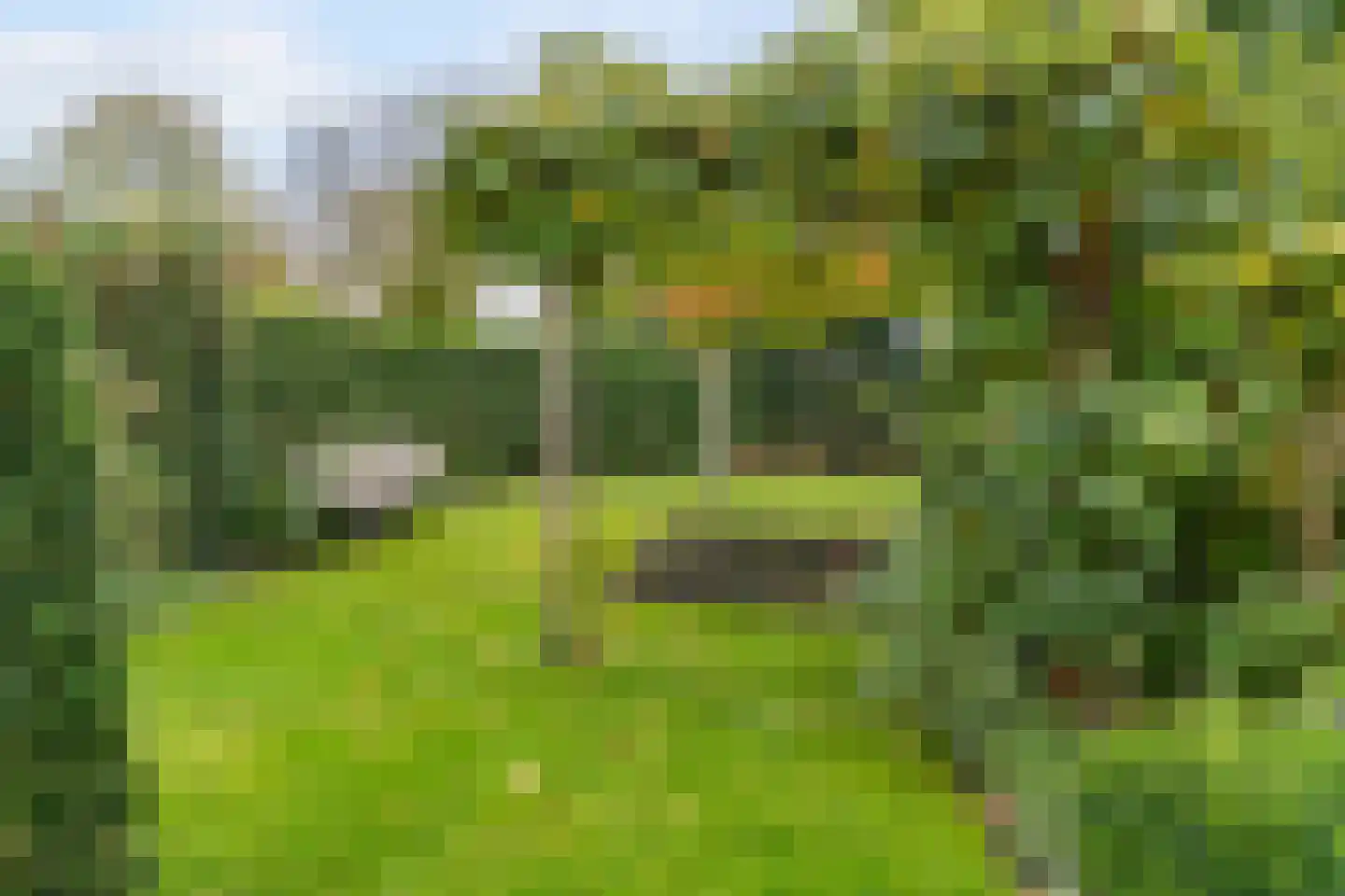 Asselsestraat 279 Apeldoorn thumbnail 39