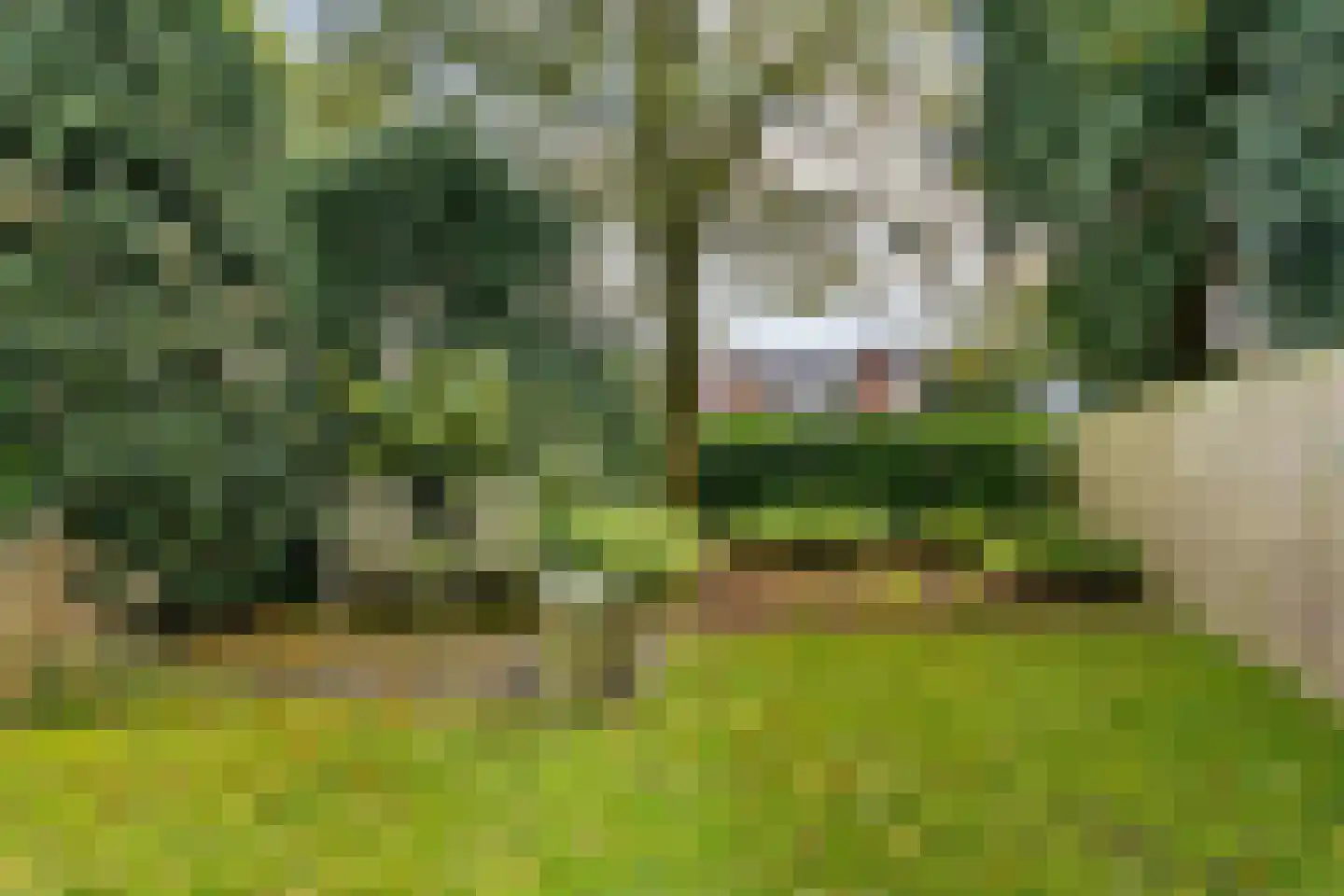 Asselsestraat 279 Apeldoorn thumbnail 44