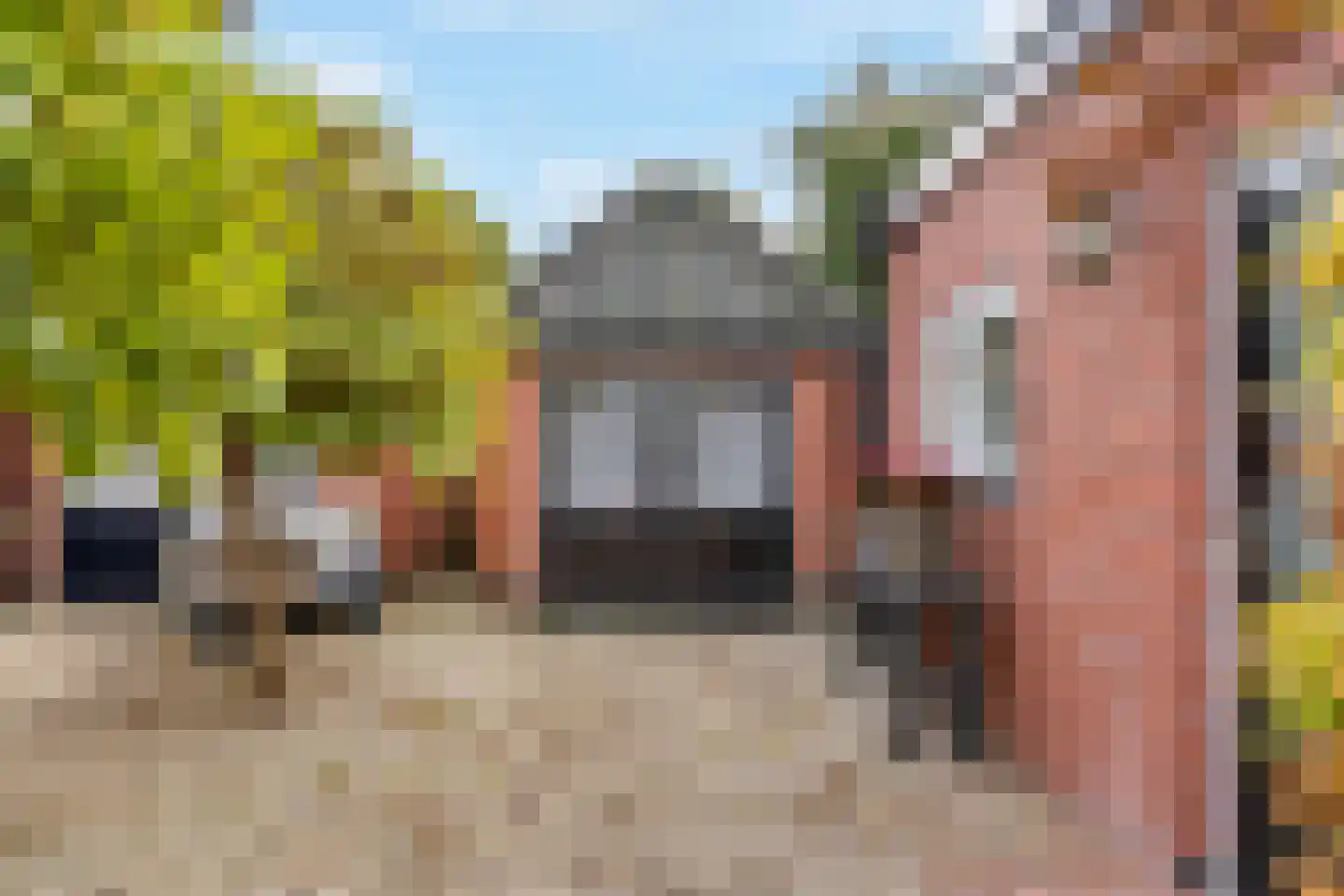 Asselsestraat 279 Apeldoorn thumbnail 46