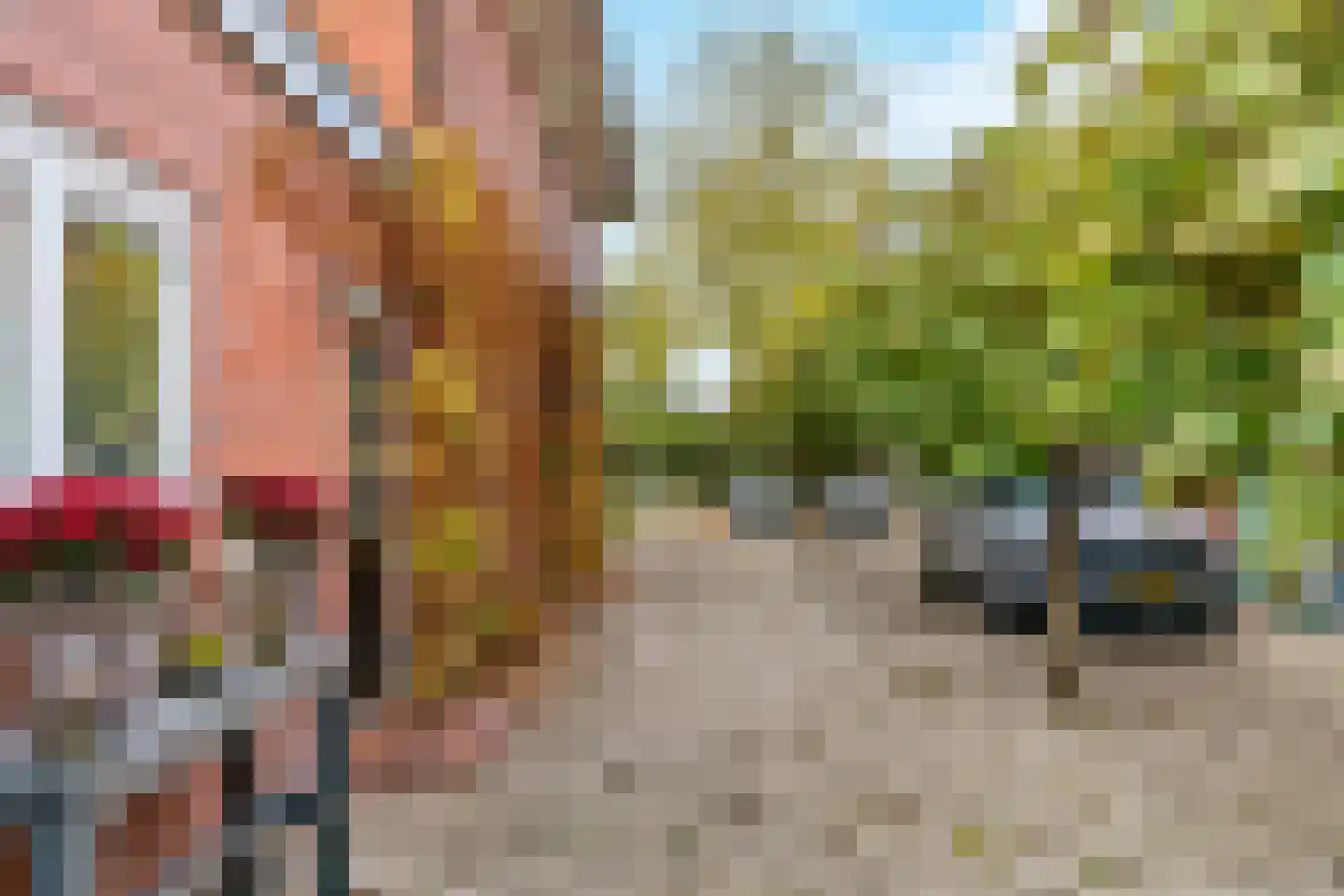 Asselsestraat 279 Apeldoorn thumbnail 48