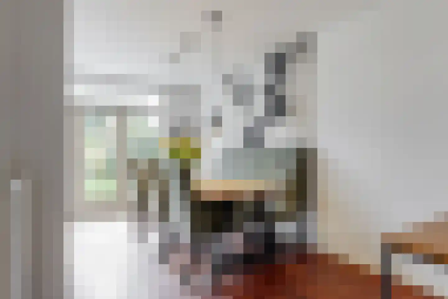 Asselsestraat 279 Apeldoorn thumbnail 7