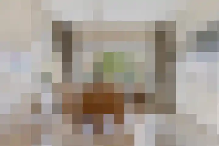 Asselsestraat 287 Apeldoorn thumbnail 11