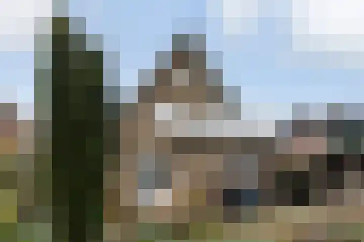 Asselsestraat 287 Apeldoorn thumbnail 26