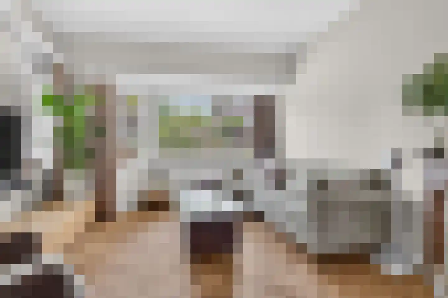 Asselsestraat 293 Apeldoorn thumbnail 17