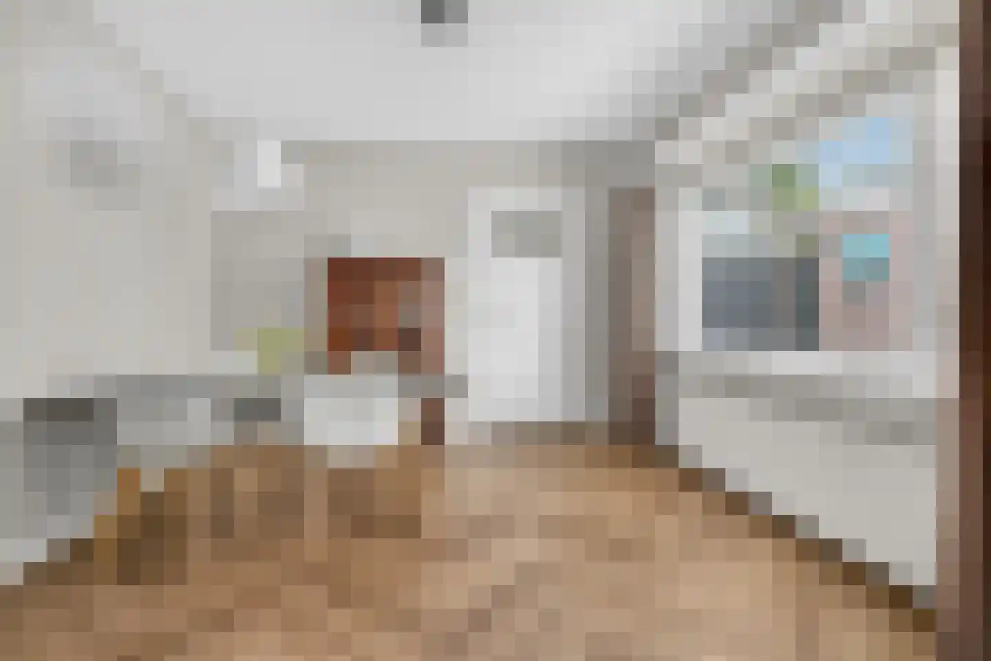 Asselsestraat 293 Apeldoorn thumbnail 18