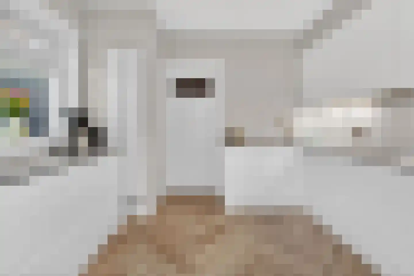 Asselsestraat 293 Apeldoorn thumbnail 20