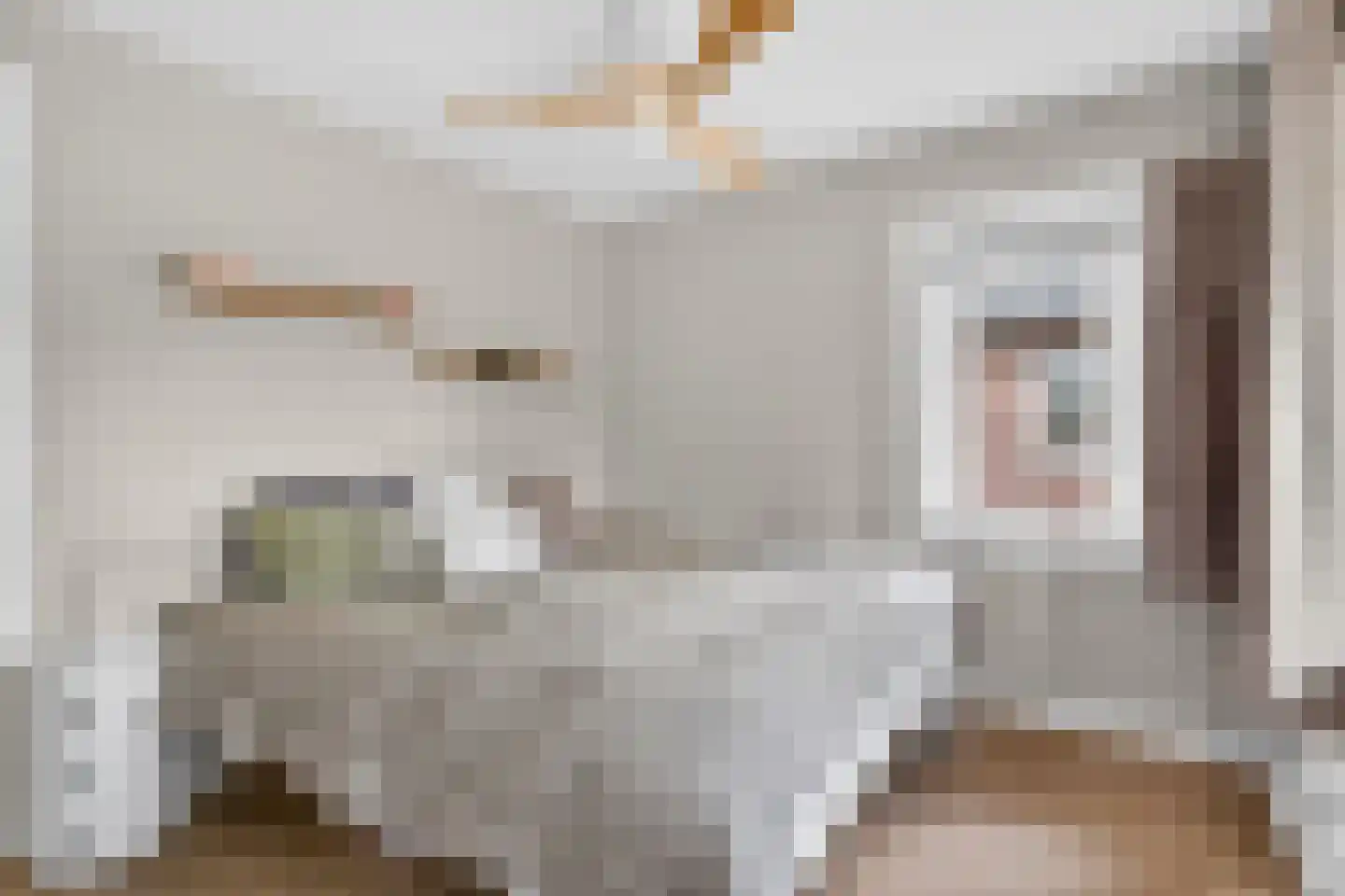 Asselsestraat 293 Apeldoorn thumbnail 27